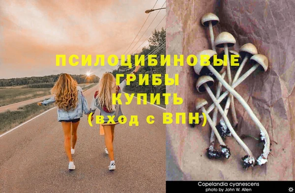 не бодяженный Белоозёрский