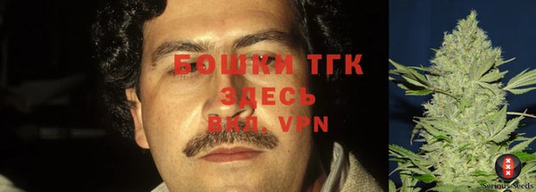 mdpv Белокуриха