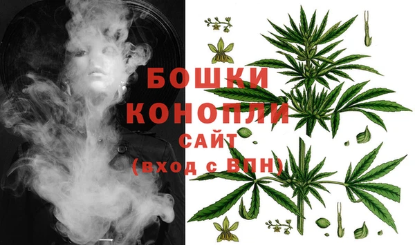 mdpv Белокуриха