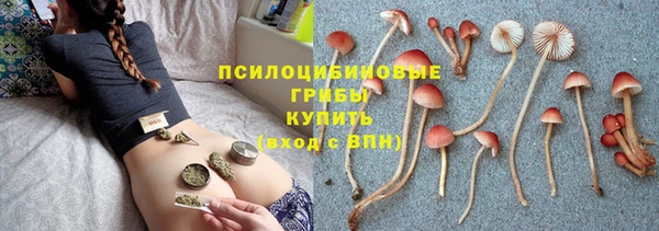каннабис Беломорск