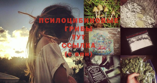 каннабис Беломорск